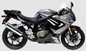 2008 UM V2S-250R photo